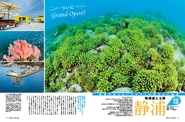 静浦