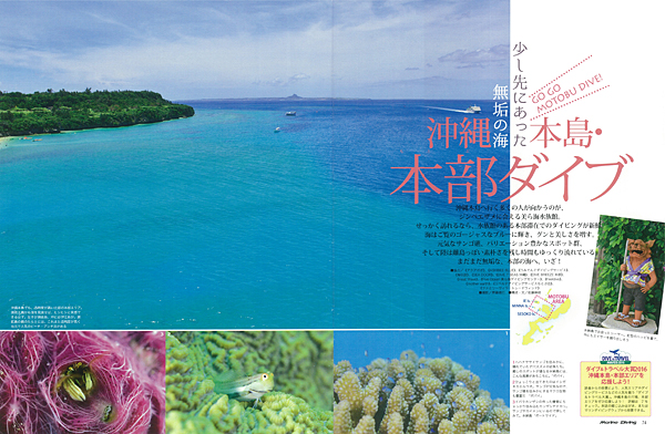 この夏、ダイビングを始めよう