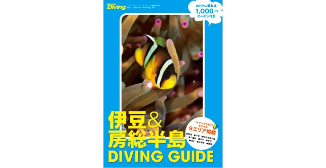 伊豆&房総半島ダイビングガイド