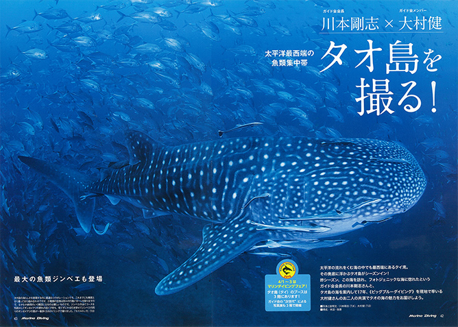 太平洋最西端の魚類集中帯タオ島を撮る!