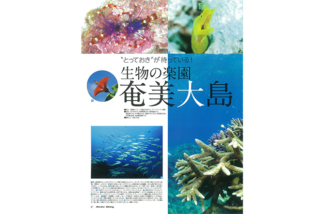 奄美大島