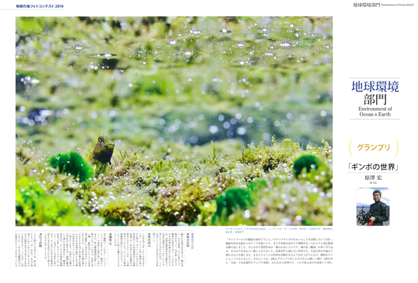 テーマ:自然や地球環境への関心や、海の生物の姿や生態、決定的瞬間を捉えた水中写真。
