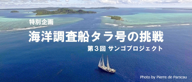 海洋調査船タラ号の挑戦③