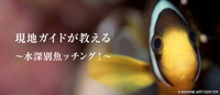 現地ガイドが教える ~水深別魚ッチング!~