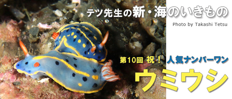 テツ先生の新・海のいきもの