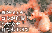海のいきもの コレが自慢!おサカナ何でもTOP3