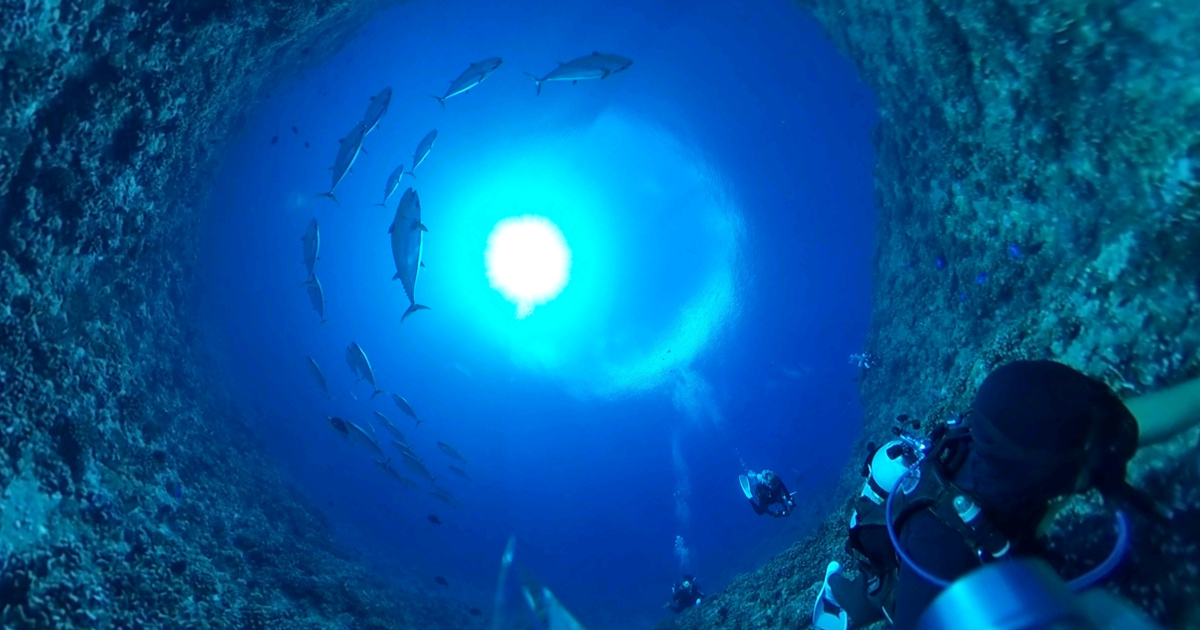 ダイビングで楽しむ、水中360°カメラ購入手取り足取りガイド｜Marine