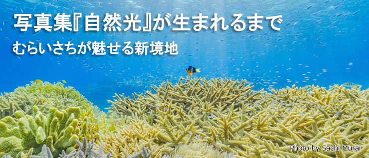 写真家むらいさちの新境地『自然光』