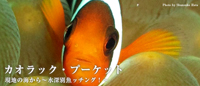 現地ガイドが教える ~水深別魚ッチング!~