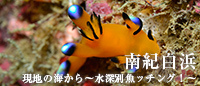 現地ガイドが教える ~水深別魚ッチング!~