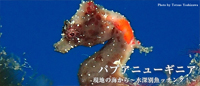 現地ガイドが教える ~水深別魚ッチング!~