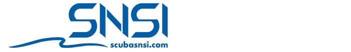 SNSI
