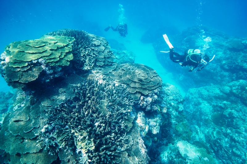 沖永良部島「阿波の砂地」