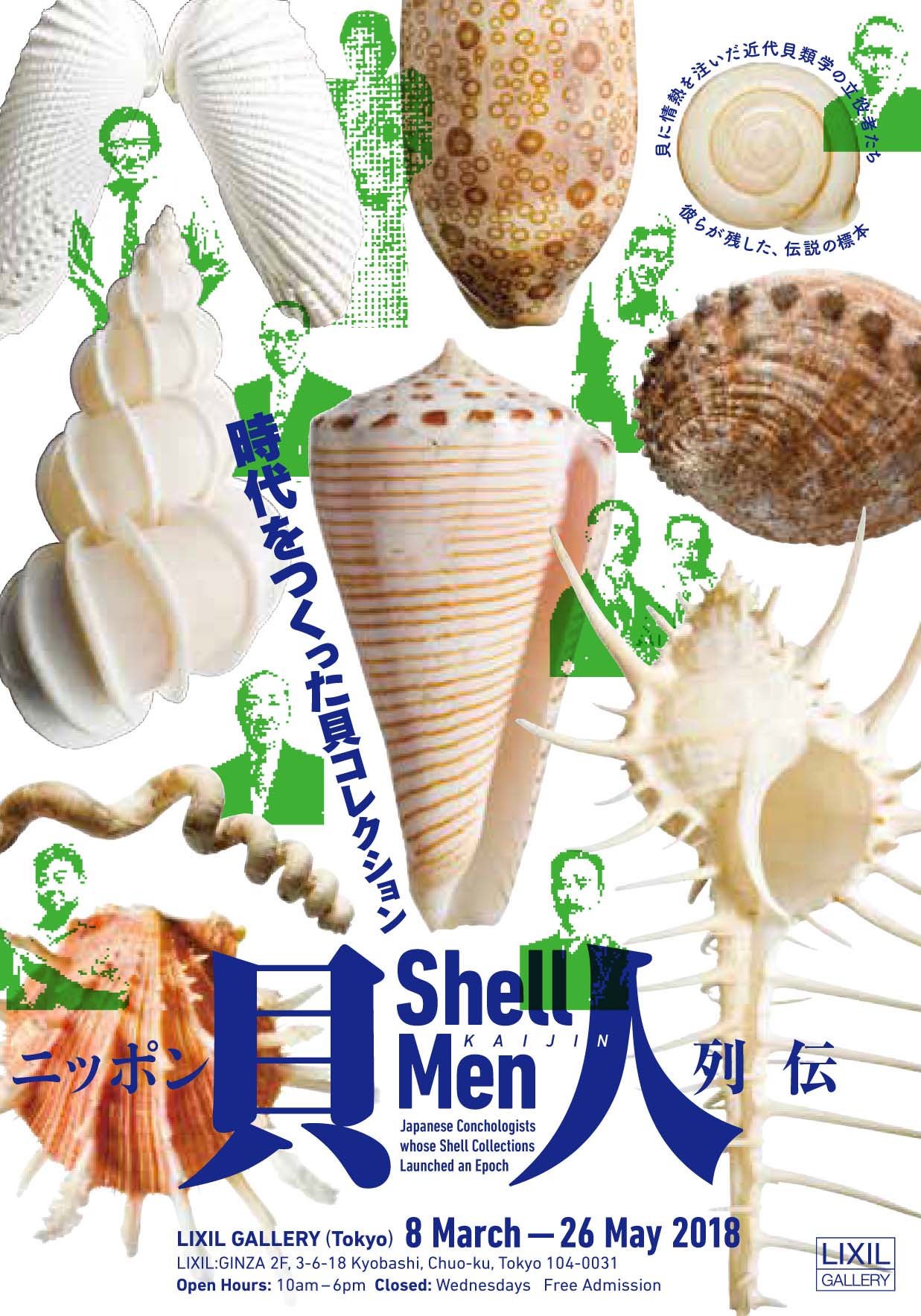この企画展を見ると、あなたも貝の魅力にとりつかれる⁉
(撮影:佐治康生)