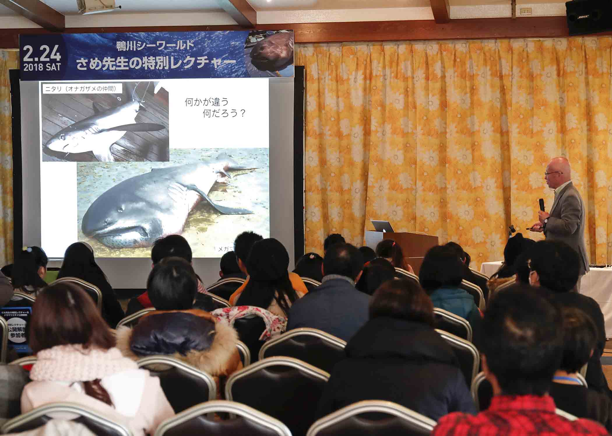 シャチやイルカ、アシカ、ベル―ガのショーや海の生物が展示された《鴨川シーワールド》は家族で楽しめる場所だ